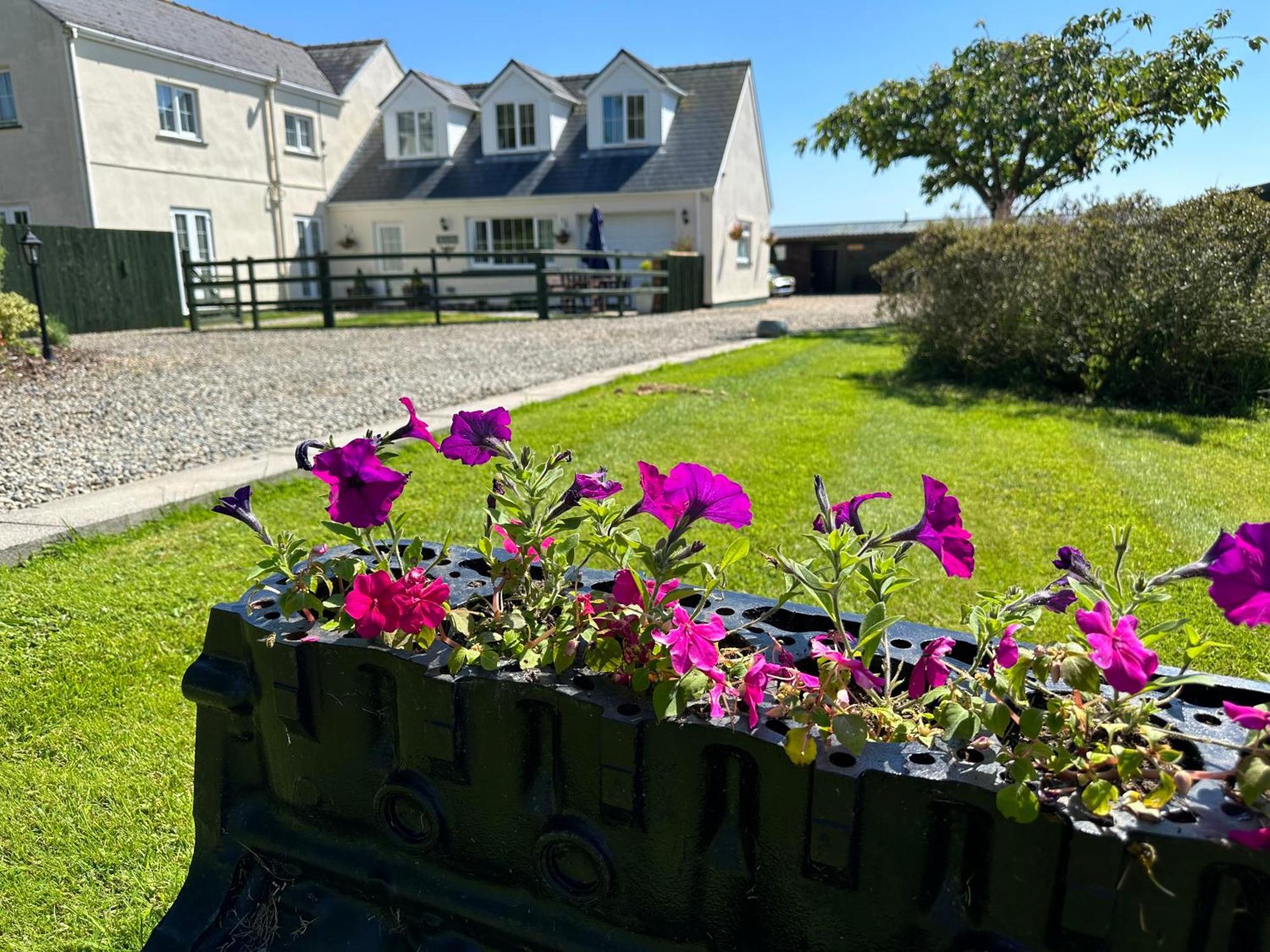The Cow Shed Apartamento Narberth Exterior foto